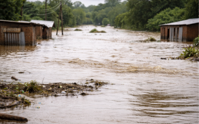 Schwere Überschwemmungen im südlichen Afrika – Hunderttausende betroffen