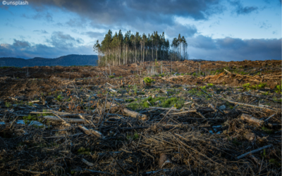 Klimapressekonferenz 2026 des DWD