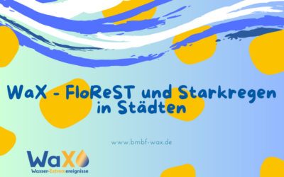 WaX-Kurzvideo-Reihe: Projekt FloREST