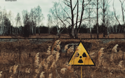 Waldbrand in Tschernobyl-Sperrzone