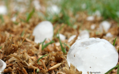 Neue Themenseite zu Hagel