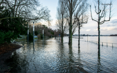 Neuer Ausbildungsfyler der Akademie für Hochwasserschutz