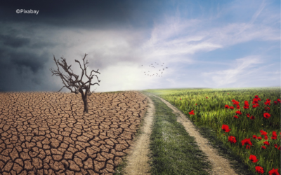 Klimaanpassung und Katastrophenvorsorge gemeinsam denken
