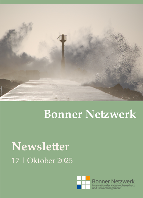 BN Newsletter #17